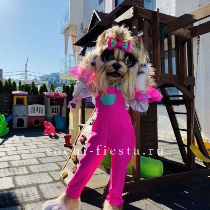 Аниматор Гламурная Собака в Химкие