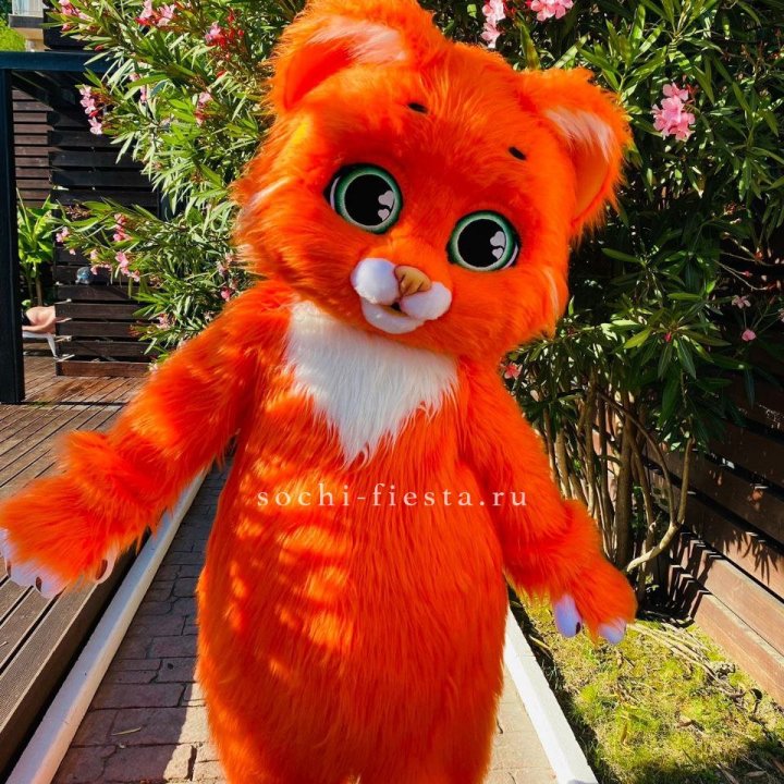 Аниматор Котик в Химкие