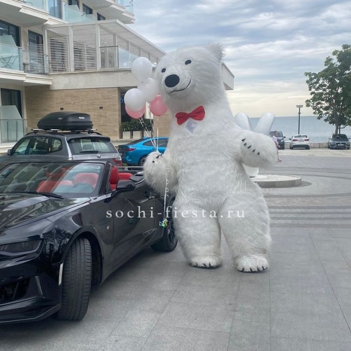 Аниматор Белый Медведь в Химкие