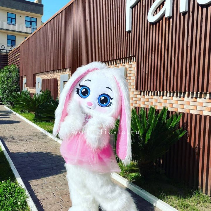 Аниматор Зайка в Химкие