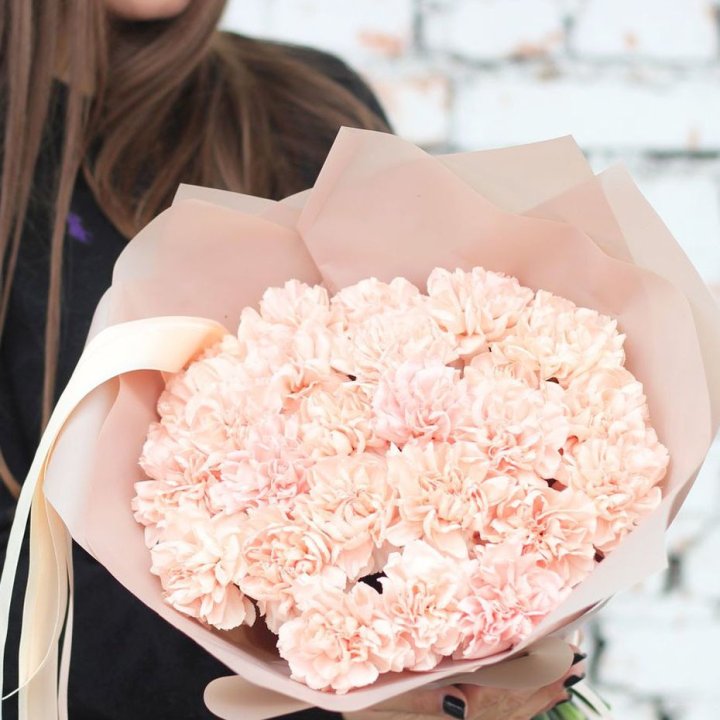 Диантусы №2 в Химкие