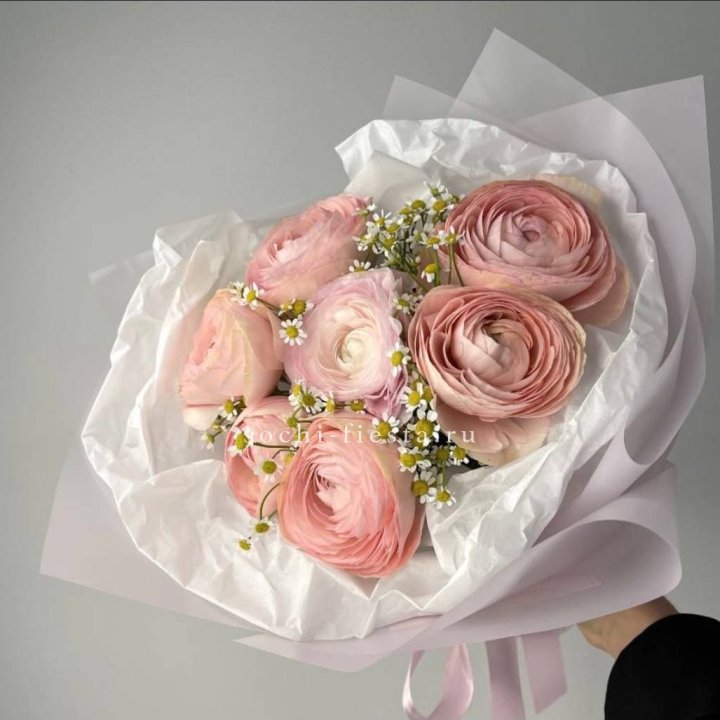 Ранункулюсы с ромашками в Химкие