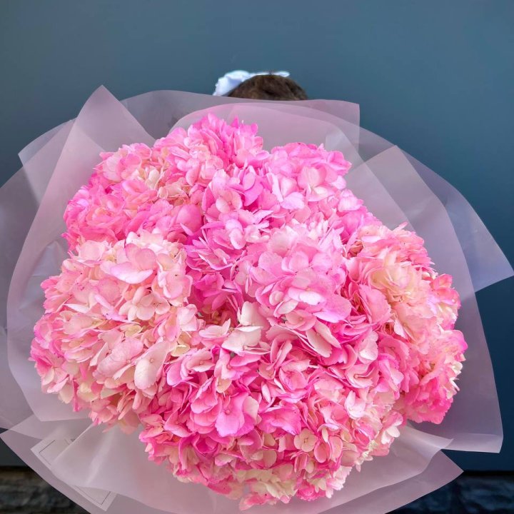 9 ярко розовых гортензий в Химкие