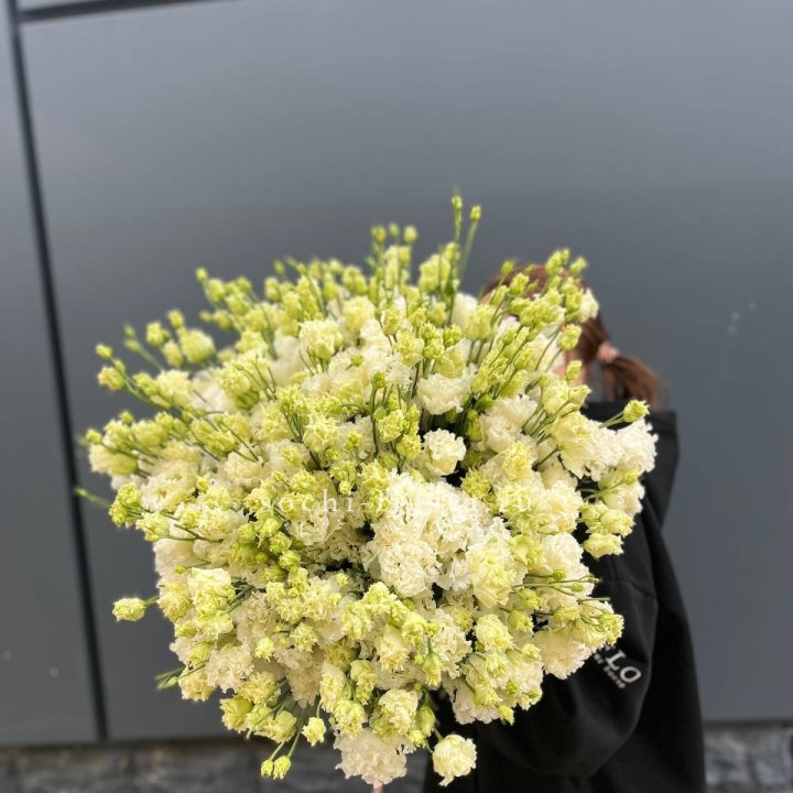 51 белая эустома в Химкие