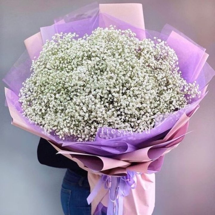 Облако белых гипсофил в Химкие