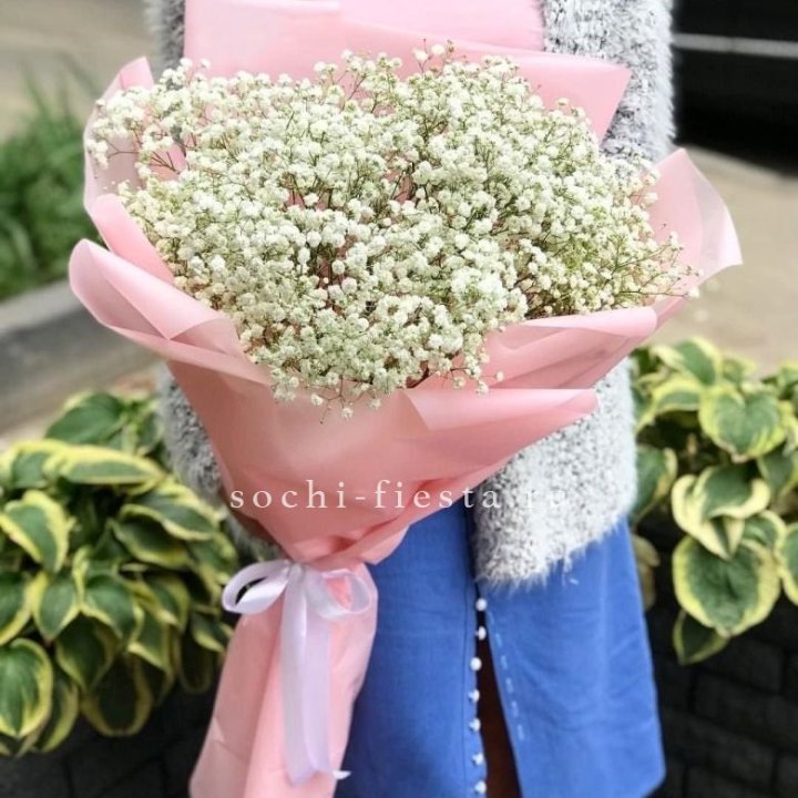 Белоснежные гипсофилы в Химкие