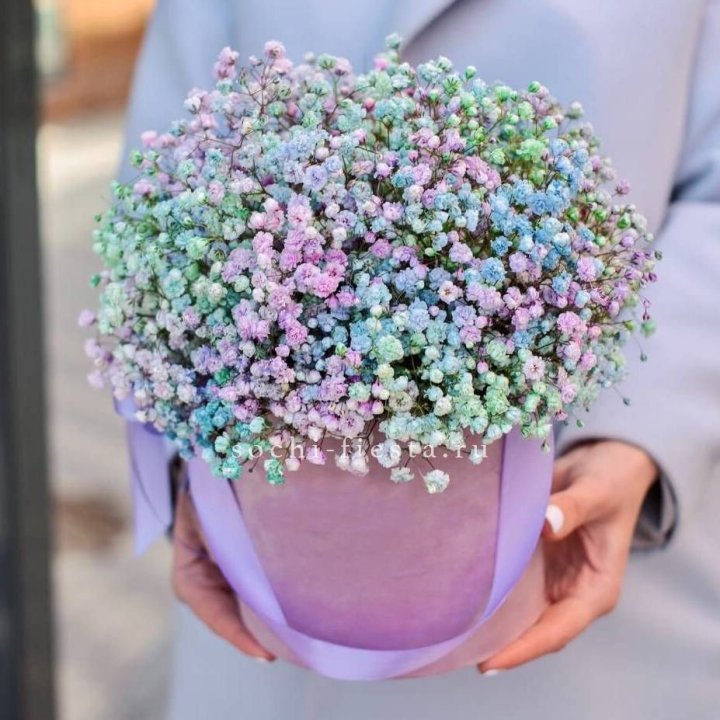 Гипсофилы в шляпной коробке "Кандилайт" в Химкие