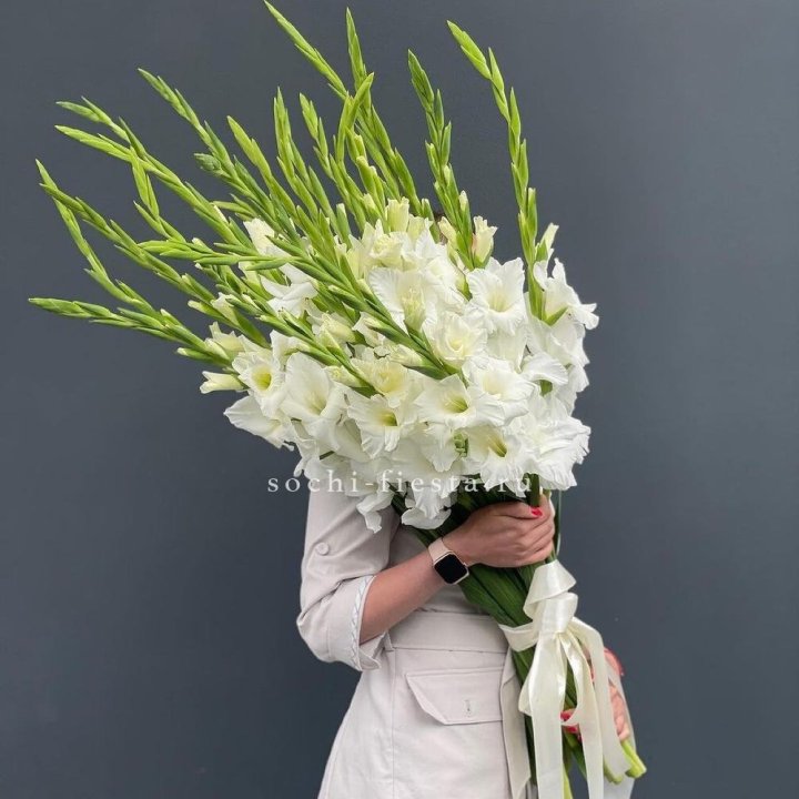 19 белых гладиолусов под ленту в Химкие