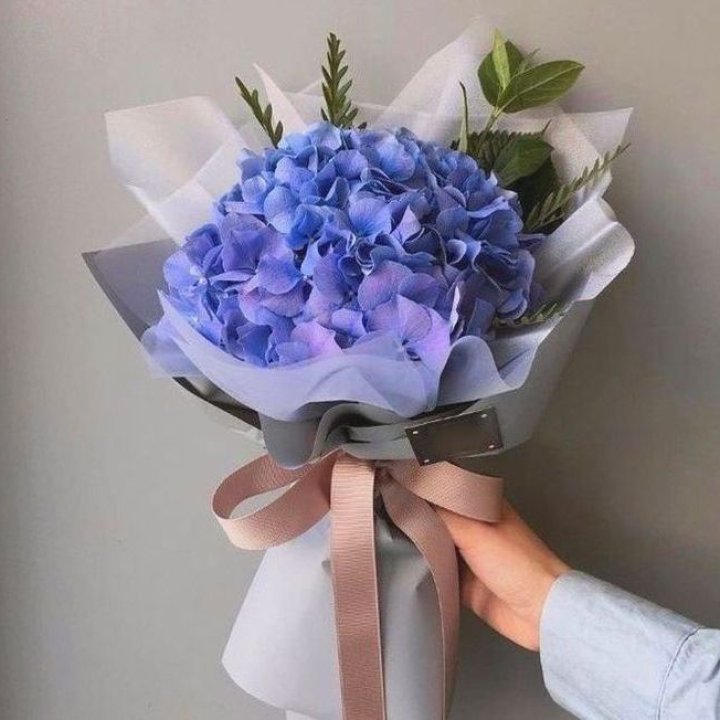 Гортензия голубая в Химкие