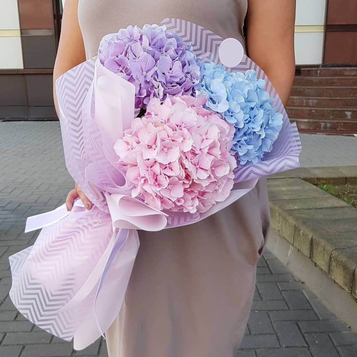 Букет гортензий "Пуф" в Химкие