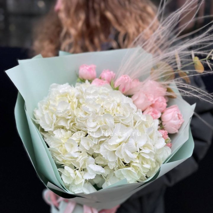 Гортензия "Жасмин" в Химкие