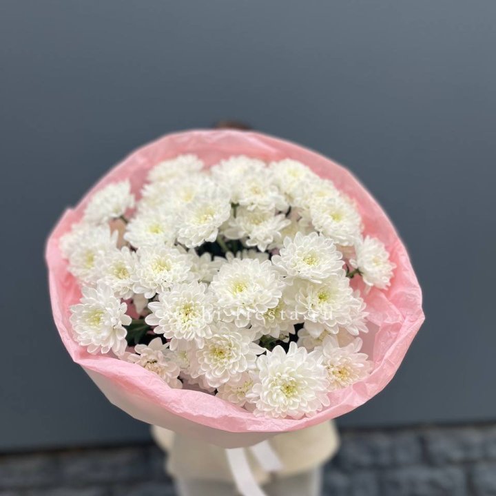  5 хризантем  в Химкие