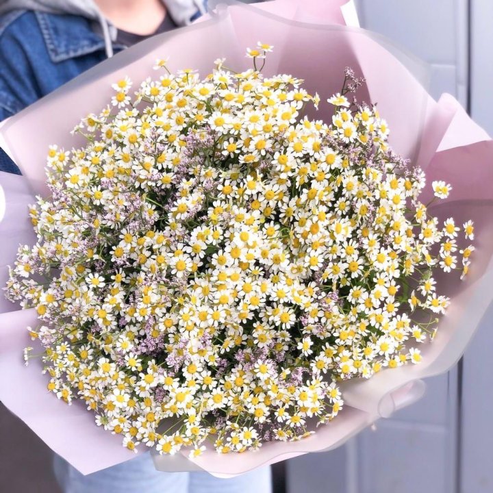 Букет ромашек №1 в Химкие