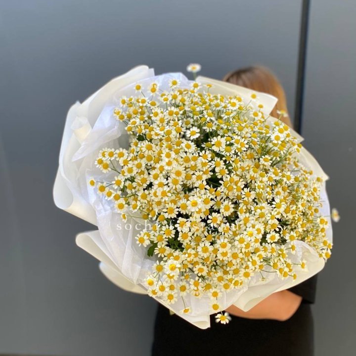 Букет ромашек "Фемели" в Химкие