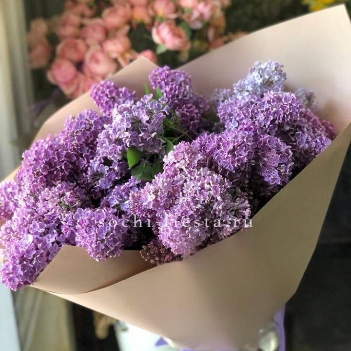 Букет сирени №2 в Химкие
