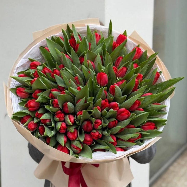 101 красный тюльпан в Химкие