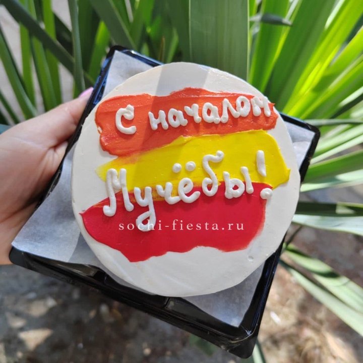 Бенто-торт "С началом учёбы"" в Химкие