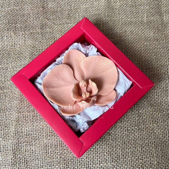 Бельгийский шоколад Орхидея в Химкие