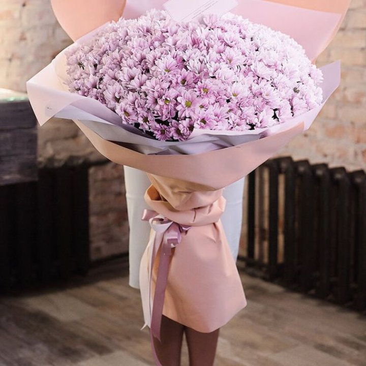 Облако хризантем №1 в Химкие