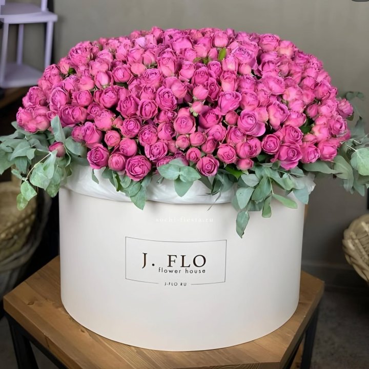 Цилиндр с Мисти Бабблс  в Химкие