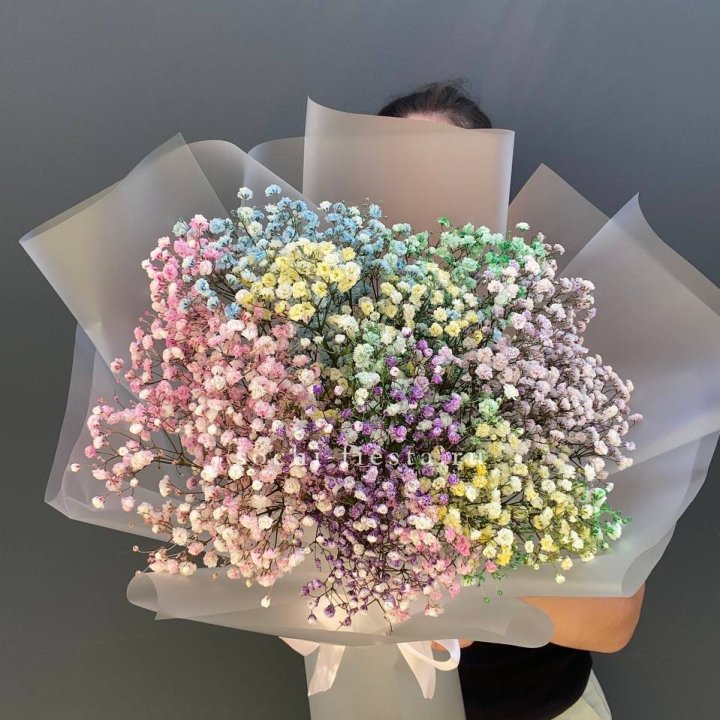 Радужные гипсофилы  в Химкие