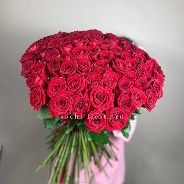 101  голландская роза  в Химкие