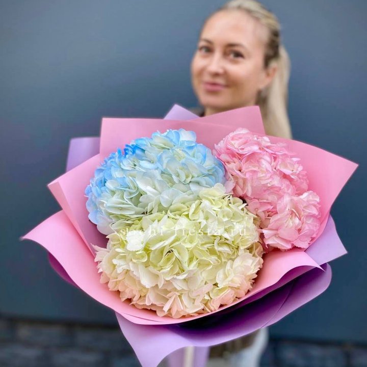 Букет гортензий "Тоника" в Химкие