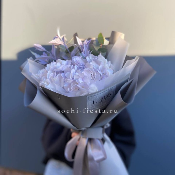 Гортензия "Виолета" в Химкие