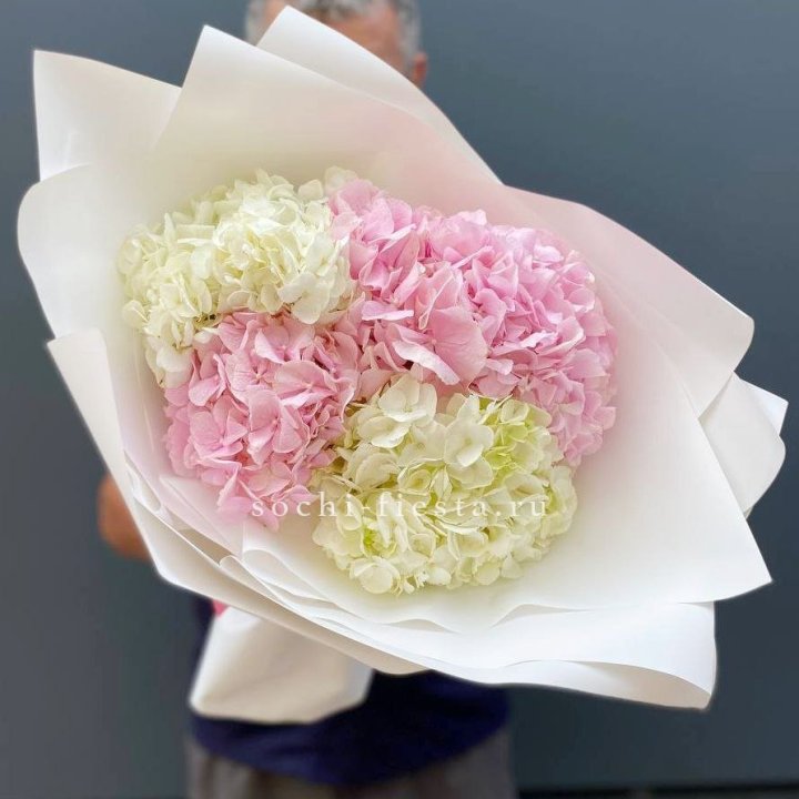 Букет гортензий №5 в Химкие