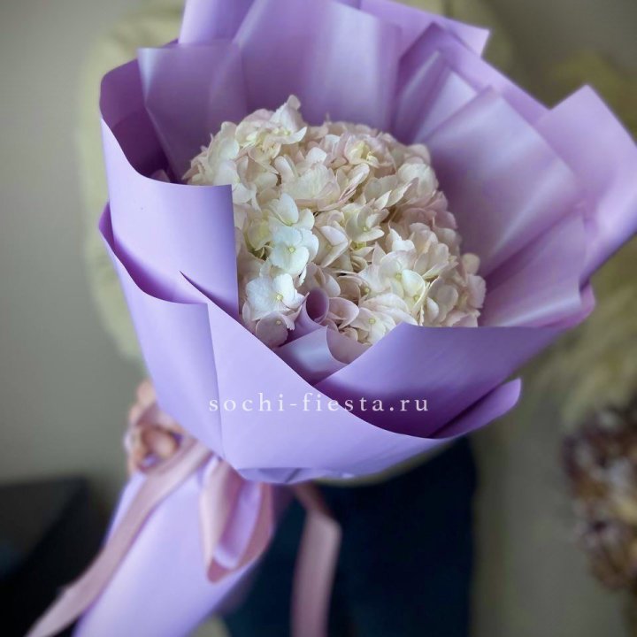 Гортензия розовая в Химкие