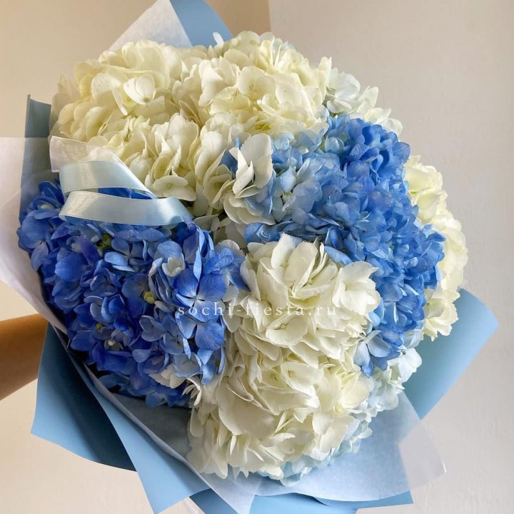 Букет гортензий "Голубая лаза" в Химкие