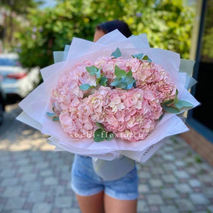 5 розовых гортензий  в Химкие