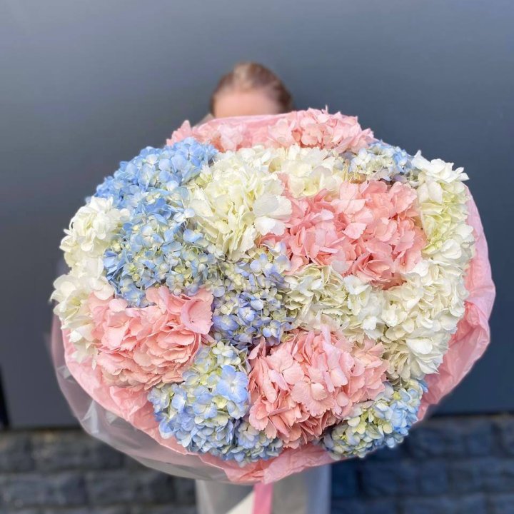 19 гортензий микс в Химкие