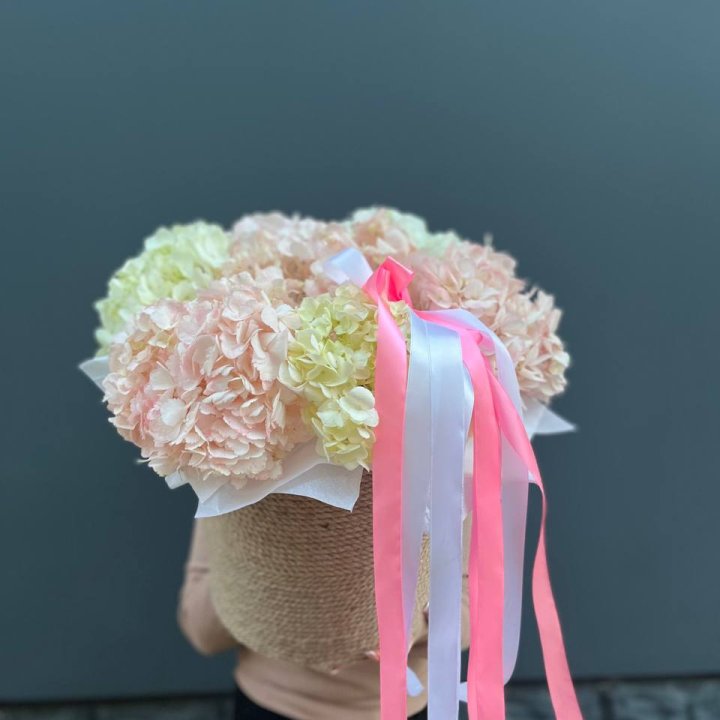 7 гортензий в кашпо в Химкие