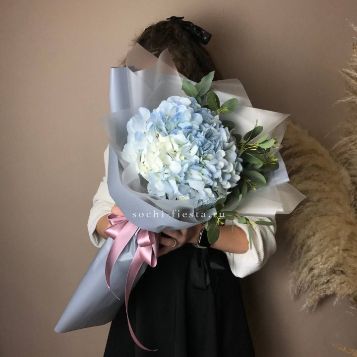 Гортензия Уно в Химкие