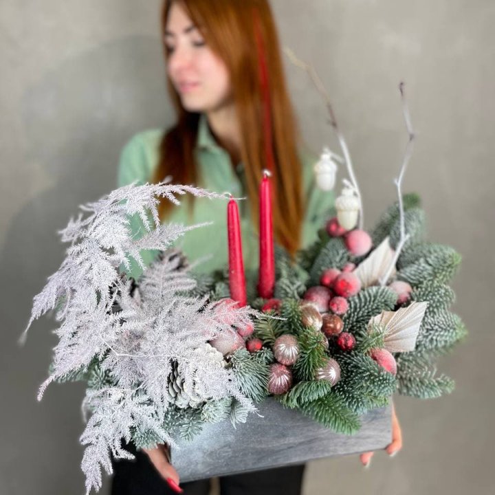 Бокс красный с нобилисом в Химкие