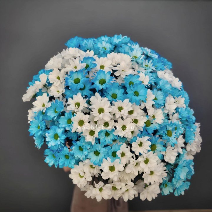  Букет хризантем микс в Химкие