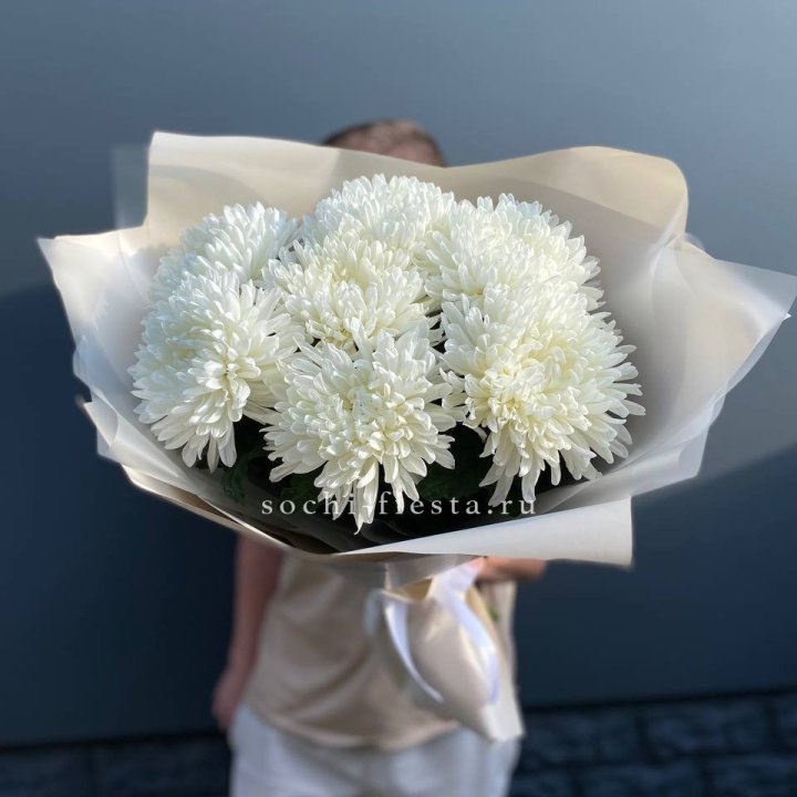 Профитроли в Химкие