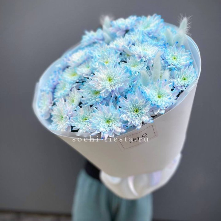  Букет нежно-голубых хризантем  в Химкие
