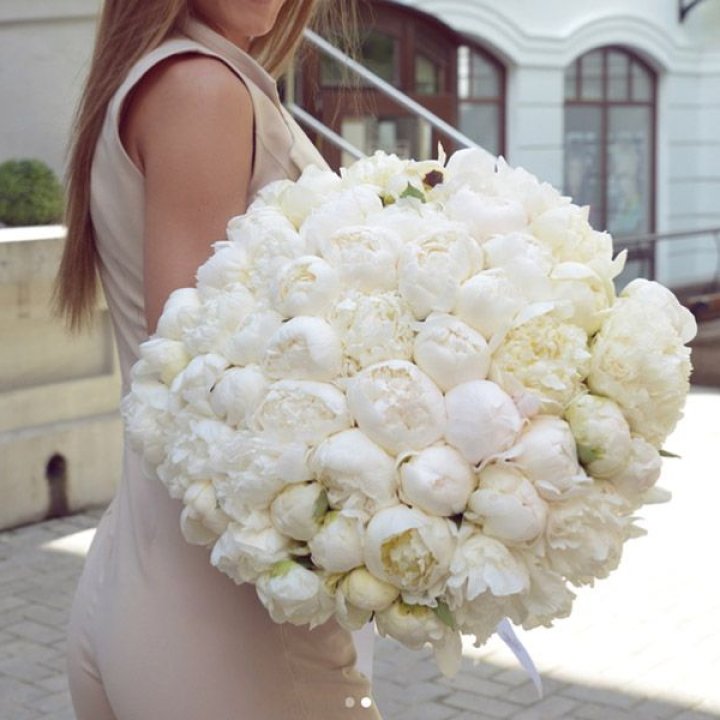 51 белый пион в Химкие