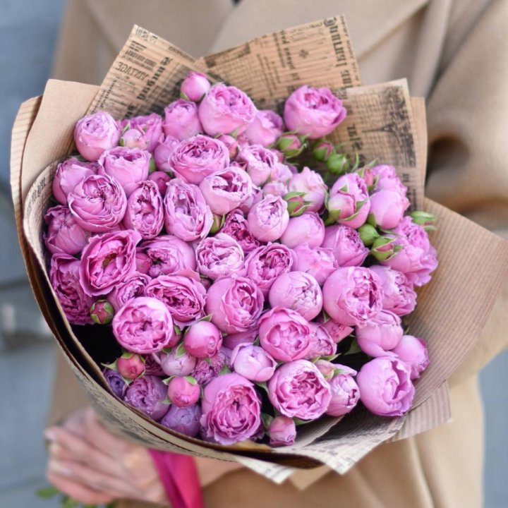 Роза Мисти Баблс в Химкие