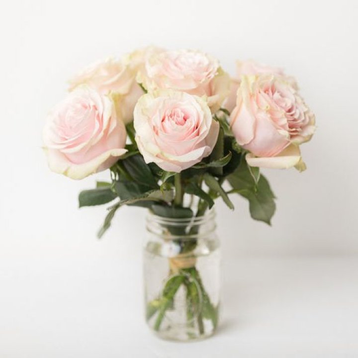 7 кремовых роз в Химкие