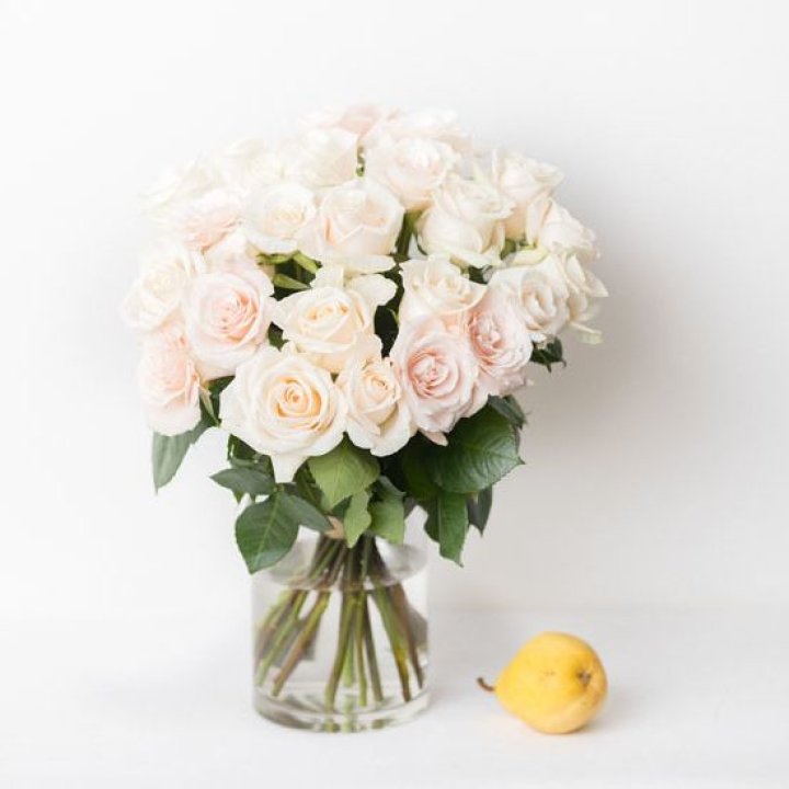 25 кремовых роз в Химкие