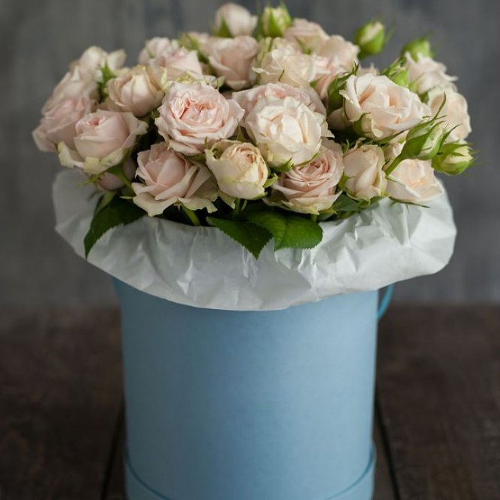 Бокс с бомбастиком в Химкие