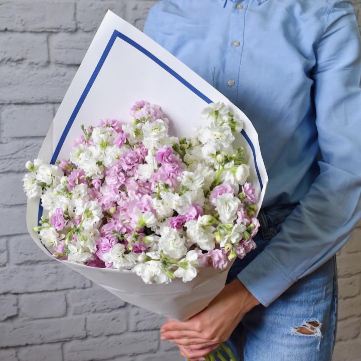 Маттиола в Химкие