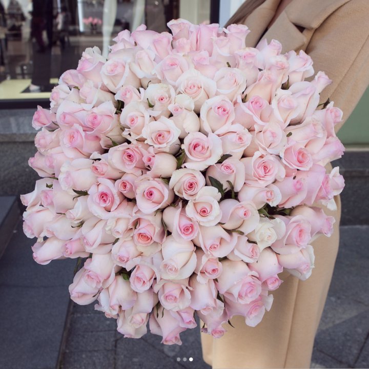 Розы "Пинк бум" в Химкие