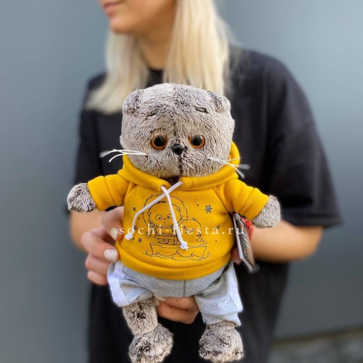 Кот Басик в худи в Химкие