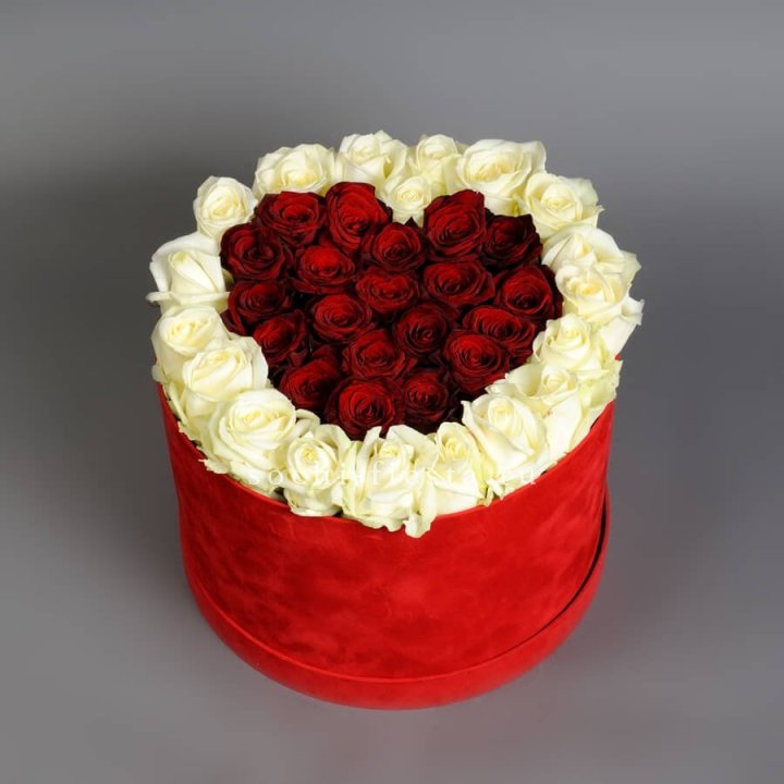 39 красных и белых роз в цилиндре в Химкие