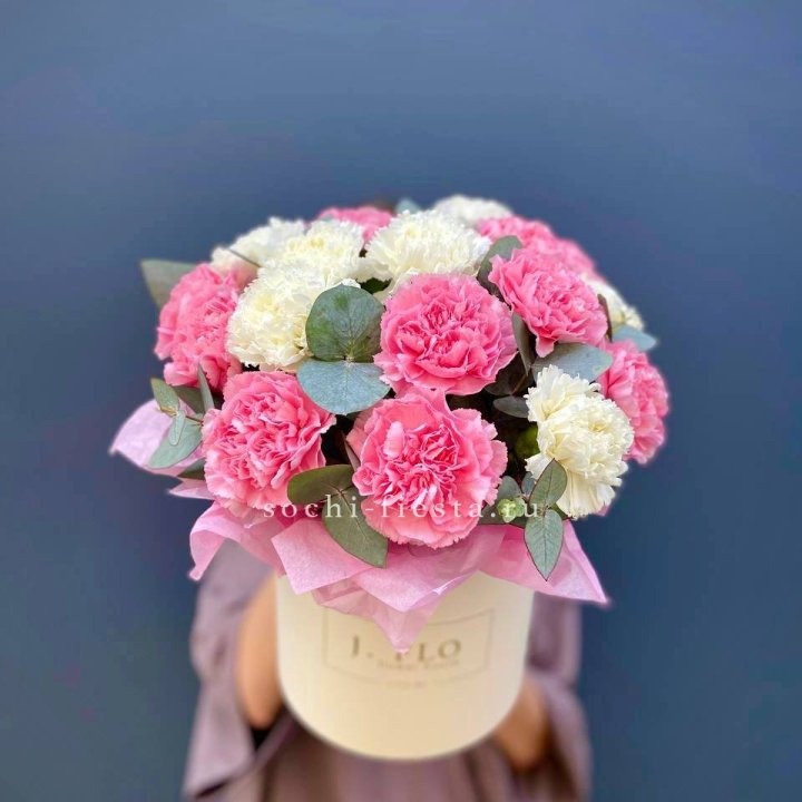 Диантусы в цилиндре в Химкие