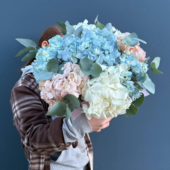 Гортензии в коробочке в Химкие